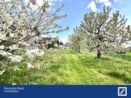 Freistehendes Viebrockhaus auf 1825 m² Traumgrundstück in 2. Reihe! - Jork