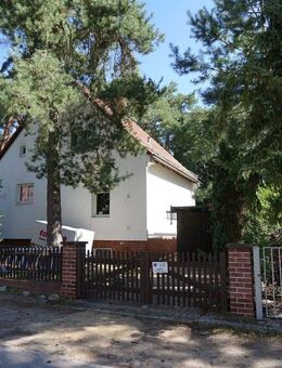Hauptstadtmakler-Bezugsfreies Einfamilienhaus mit großem Garten in Top-Lage - Kleinmachnow