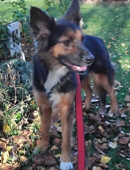 Junge liebe Alisa - Berlin