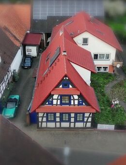 3 in 1: zwei große Wohnhäuser + Einliegerwohnung - Pferdehof und Schwimmteich (MIT OBJEKTFILM) - Winden (Landkreis Germersheim)
