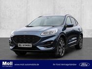 Ford Kuga, ST-LINE X Techno Winter2 Styling 20, Jahr 2023 - Aachen