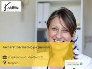 Facharzt Dermatologie (m/w/d) - Meppen