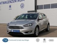 Ford Focus, 1.5 EcoBoost Titanium, Jahr 2015 - Demmin