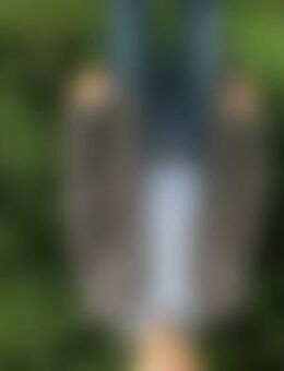 Goo*** - Schöppingen