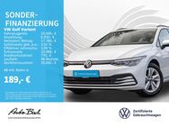 VW Golf Variant, 2.0 TDI Golf VIII, Jahr 2021 - Bad Homburg (Höhe)