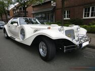 Johnson Phantom TARGA - Geldern