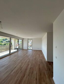 Spektakuläres Penthouse mit 35m² Dachterrasse im Stadtzentrum - Blaustein