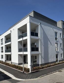 Willkommen auf der neuen Terrasse ! - Lörrach