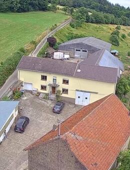 Pferdefreunde Aufgepasst Ehemaliges landwirtschaftliches Anwesen mit gewerblicher Nutzung - Merzig