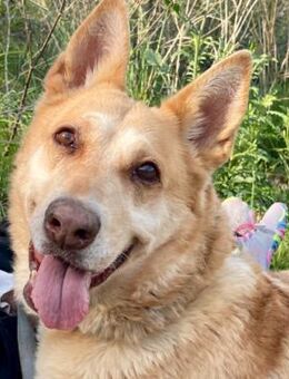 Tita ❤️ tolles robustes Mädchen - Hamburg