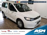 VW Caddy, 2.0 TDI Basis DIGITAL, Jahr 2024 - Blankenburg (Harz)