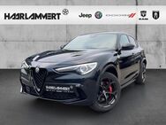 Alfa Romeo Stelvio, 2.9 Quadrifoglio Q4, Jahr 2023 - Hasbergen