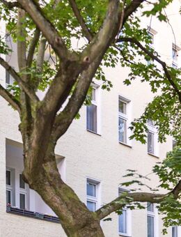 Kapitalanlage in Reinickendorf: Vermietete 2-Zimmer-Altbauwohnung mit perfektem Grundriss! - Berlin