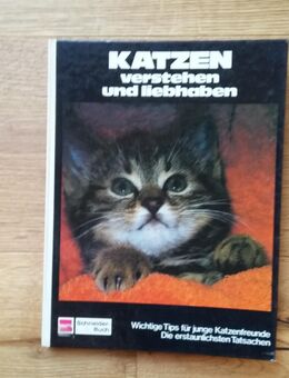KATZEN verstehen und liebhaben. Wichtige Tips für Katzenfreunde. Gebundene Ausgabe v. 1977, Schneider Verlag - Rosenheim