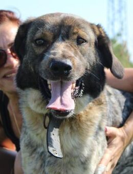 KARMA - hat eine traurige Geschichte.... - Kempen