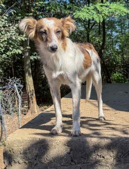 Liane möchte die Welt entdecken - Schwabach