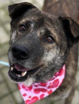 Massimo - Menschenbezogener & offen - Berlin