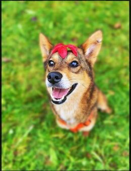 Verkörperung von bedingunslosen Liebe - Stuttgart