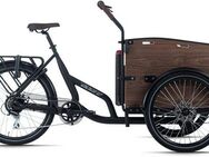 Adore E-Bike Lastenrad Lastenrad Urban Deluxe, 7 Gang Shimano Acera Schaltwerk, Kettenschaltung, Heckmotor, 468 Wh