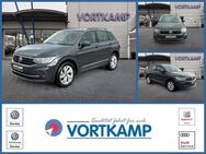 VW Tiguan, 2.0 TDI, Jahr 2022 - Gronau (Westfalen)