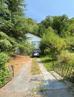 ++NEU IM ANGEBOT++ Freistehendes Einfamilienhaus in exklusiver und ruhiger Ortsrandlage von Grenzach -SOFORT FREI- - Grenzach-Wyhlen