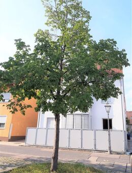 GROSSZÜGIGE 3-Zi.-Whg. mit BALKON im Herzen von Allersberg! - Allersberg