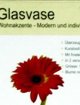 ⚗️ Vase für Tisch Küche Zimmer ⚗️ neu Blumen Glas Vase OVP ⚗️ - Ingolstadt