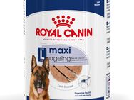 Royal Canin Maxi Ageing Mousse - Sparpaket: 48 x 410 g