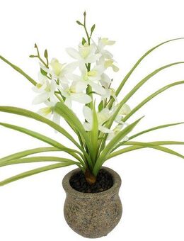 Kunstblume Kunstblume Schmetterling Orchidee mit Keramiktopf, I.GE.A., Höhe 38 cm, Mit Blätter Luftwurzeln Blume Kunstorchidee Phalaenopsis Kunstpflanze
