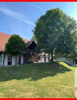 Markt Erlbach OT - stattliches Landhaus mit ELW und Atelier in naturnahem Umfeld - Markt Erlbach
