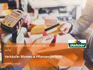 Verkäufer Blumen & Pflanzen (m/w/d) - Weiterstadt