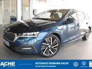 Skoda Octavia, 2.0 TDI Combi Ambition, Jahr 2020 - Blomberg (Nordrhein-Westfalen)