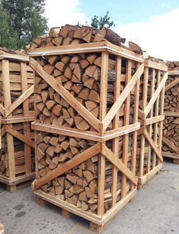 Buche Brennholz 25cm – Kammergetrocknet|1RM - Offenbach (Main) Waldheim