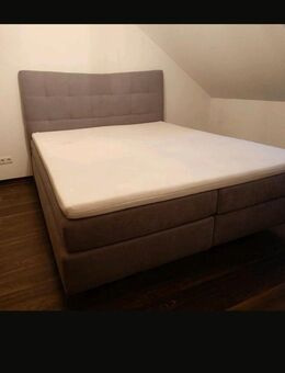 Box Spring Bett - Markranstädt Frankenheim