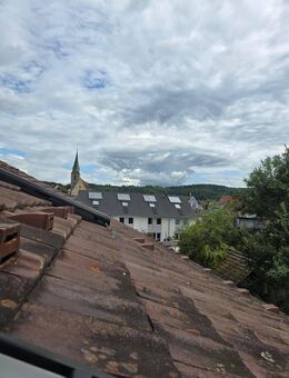 1-Zimmer-Wohnung Ammerbuch-Entringen - Ammerbuch