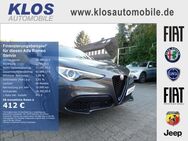 Alfa Romeo Stelvio, 2.0 VELOCE Q4 TURBO, Jahr 2020 - Dreieich