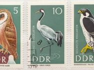 DDR-Briefmarken Tiere (2)  [384] - Hamburg