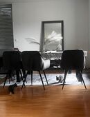 Zuckersüße BKH Kitten abgabebereit in 72622