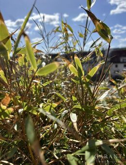Charmante 2 Zimmer-Eigentumswohnung mit großem Balkon in zentraler Lage von Kulmbach - Kulmbach