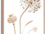 Reinders! Poster Trockenblumen