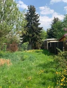 Attraktive sanierte 3-Raum Wohnung im EG in Arnsdorf bei Dresden - Arnsdorf