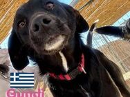 Gundi, 05/24 - Black Pearl sucht Familie - Heppenheim (Bergstraße)