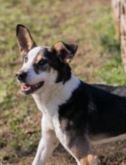 JIM - Spiel, Spaß, Abenteuer...und wir - Overath