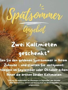 Frisch renoviert mit großem Balkon! - Magdeburg