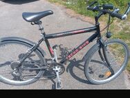 City Mountainbike 28 Zoll Marke Tecno Bike - Ingolstadt