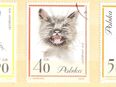 Polnische Briefmarken Katzen (436) in 20095
