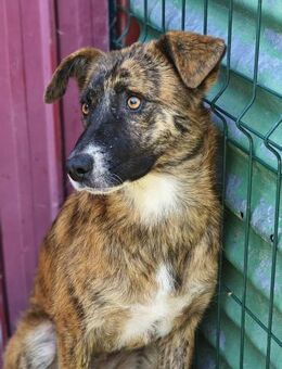 Chelsea möchte endlich ein tolles Leben - Beltheim