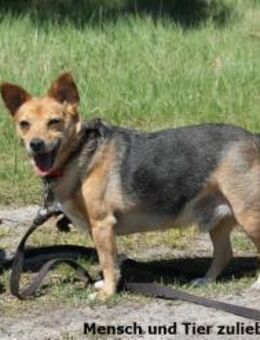 Micki sucht Altersruhesitz - Berlin