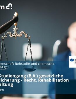 Bachelor-Studiengang (B.A.) gesetzliche Unfallversicherung - Recht, Rehabilitation und Verwaltung - Mainz