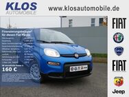 Fiat Panda, 1.0 HYBRID GSE 70PS CITY PAKET, Jahr 2024 - Völklingen